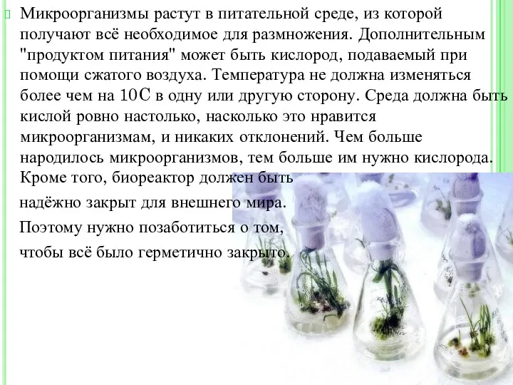 Микроорганизмы растут в питательной среде, из которой получают всё необходимое