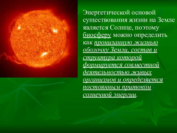 Энергетической основой существования жизни на Земле является Солнце, поэтому биосферу