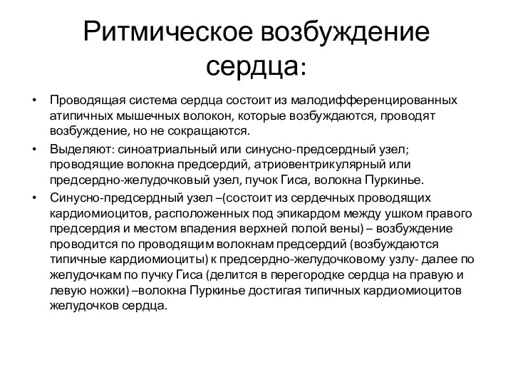 Ритмическое возбуждение сердца: Проводящая система сердца состоит из малодифференцированных атипичных