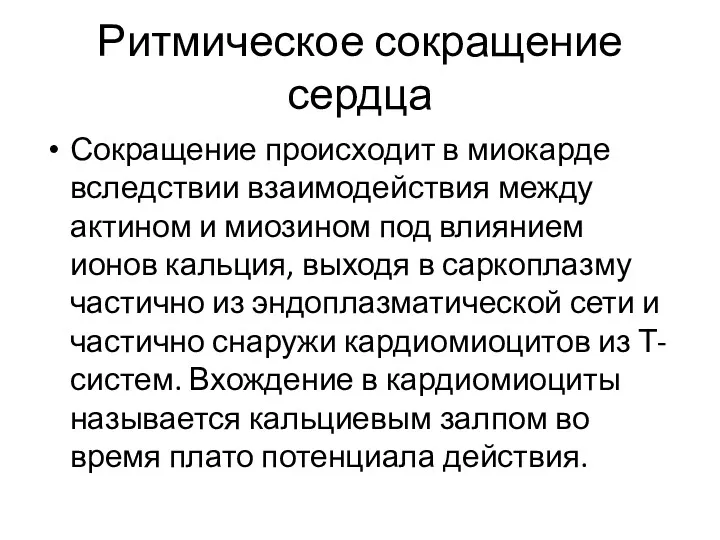 Ритмическое сокращение сердца Сокращение происходит в миокарде вследствии взаимодействия между