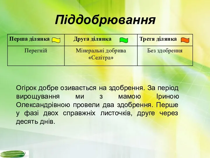 Піддобрювання Огірок добре озивається на здобрення. За період вирощування ми