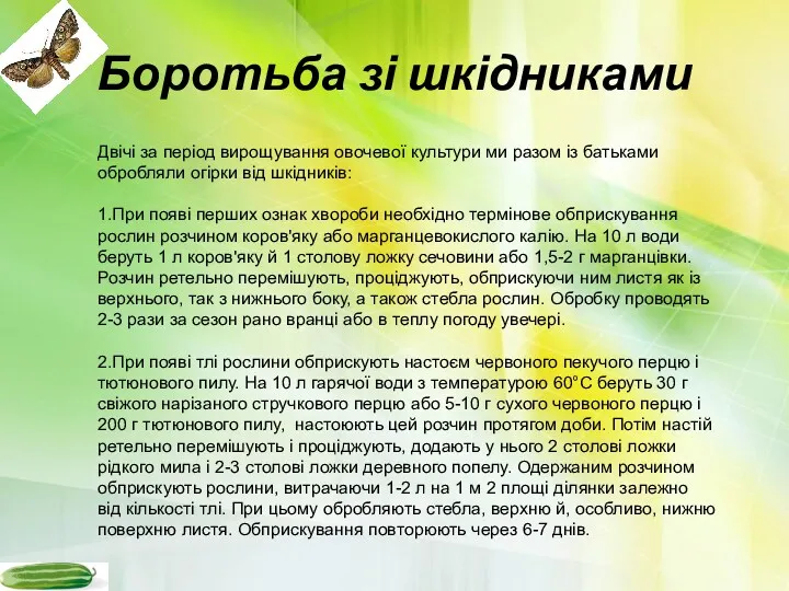 Боротьба зі шкідниками Двічі за період вирощування овочевої культури ми