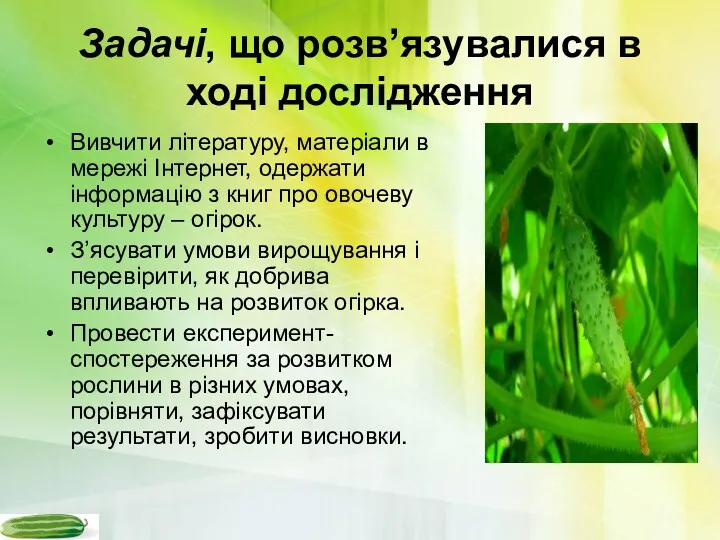 Задачі, що розв’язувалися в ході дослідження Вивчити літературу, матеріали в