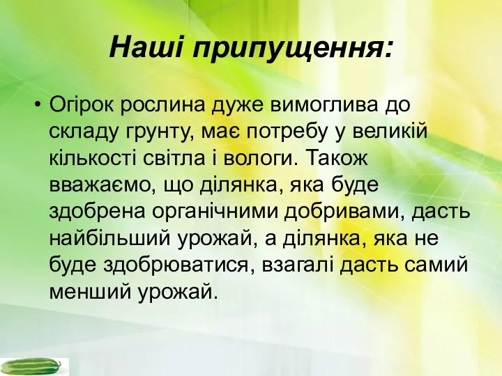 Наші припущення: Огірок рослина дуже вимоглива до складу грунту, має