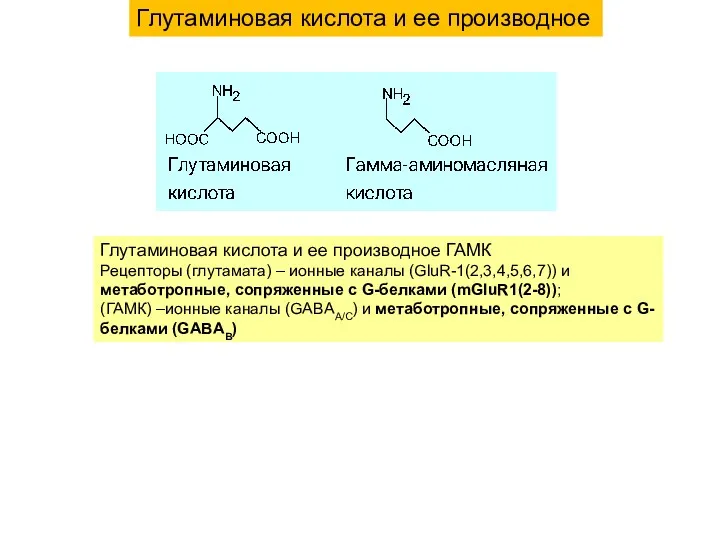 Глутаминовая кислота и ее производное ГАМК Рецепторы (глутамата) – ионные каналы (GluR-1(2,3,4,5,6,7)) и