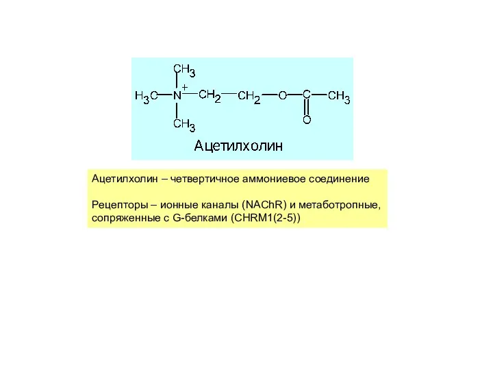 Ацетилхолин – четвертичное аммониевое соединение Рецепторы – ионные каналы (NAChR) и метаботропные, сопряженные с G-белками (CHRM1(2-5))