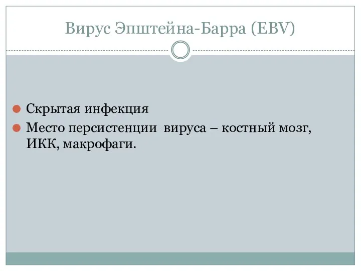 Вирус Эпштейна-Барра (EВV) Скрытая инфекция Место персистенции вируса – костный мозг, ИКК, макрофаги.