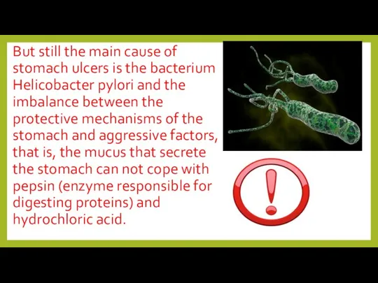 But still the main cause of stomach ulcers is the bacterium Helicobacter pylori