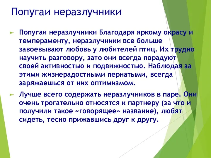 Попугаи неразлучники Попугаи неразлучники Благодаря яркому окрасу и темпераменту, неразлучники