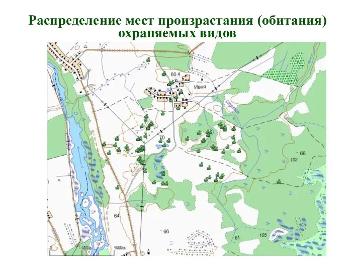 Распределение мест произрастания (обитания) охраняемых видов