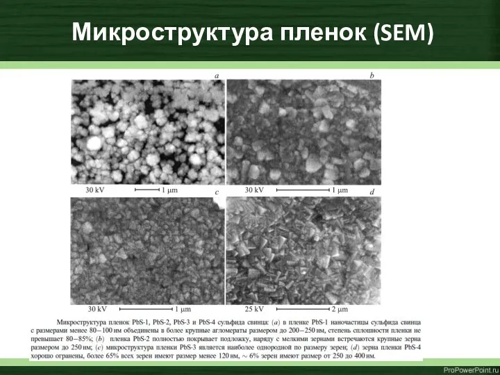 Микроструктура пленок (SEM)