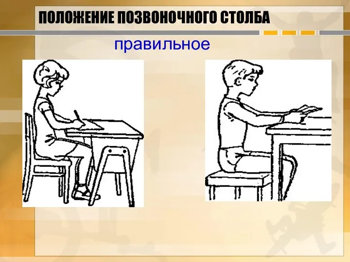 ПОЛОЖЕНИЕ ПОЗВОНОЧНОГО СТОЛБА правильное