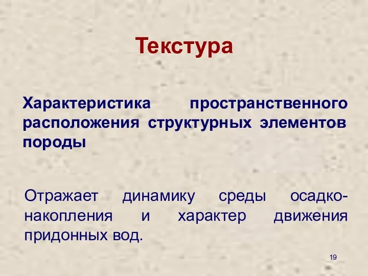 Текстура Характеристика пространственного расположения структурных элементов породы Отражает динамику среды осадко-накопления и характер движения придонных вод.