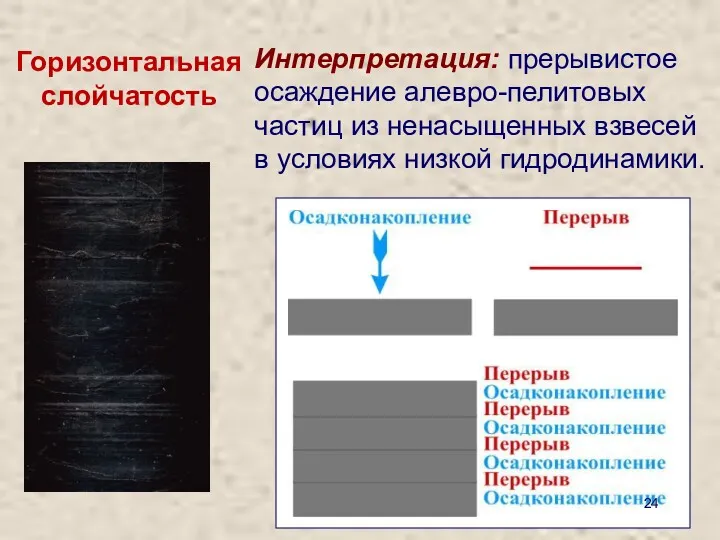 Горизонтальная слойчатость Интерпретация: прерывистое осаждение алевро-пелитовых частиц из ненасыщенных взвесей в условиях низкой гидродинамики.