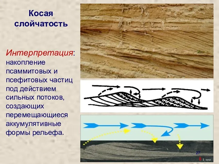 Косая слойчатость Интерпретация: накопление псаммитовых и псефитовых частиц под действием сильных потоков, создающих