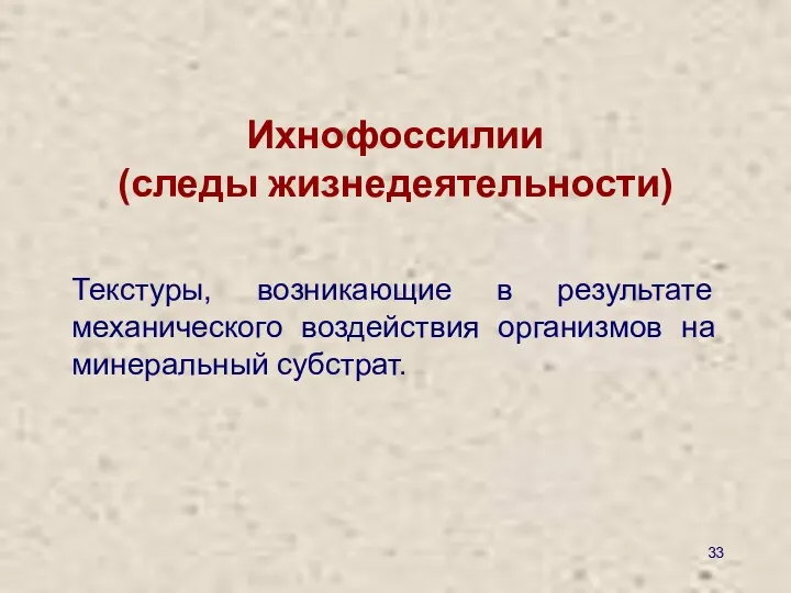 Ихнофоссилии (следы жизнедеятельности) Текстуры, возникающие в результате механического воздействия организмов на минеральный субстрат.