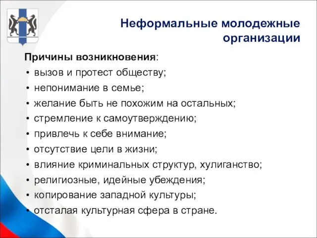 Неформальные молодежные организации Причины возникновения: вызов и протест обществу; непонимание