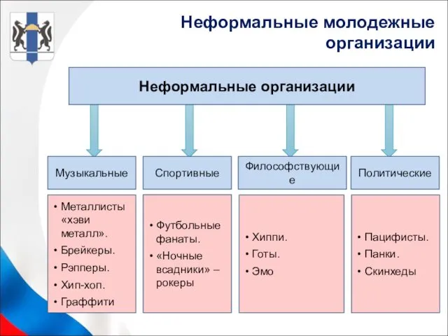 Неформальные организации Политические Философствующие Спортивные Музыкальные Пацифисты. Панки. Скинхеды Хиппи.