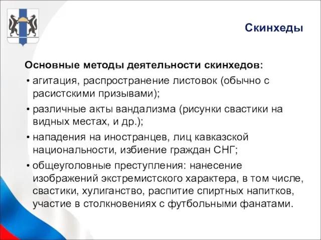 Основные методы деятельности скинхедов: агитация, распространение листовок (обычно с расистскими