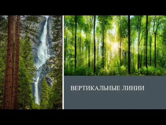 ВЕРТИКАЛЬНЫЕ ЛИНИИ