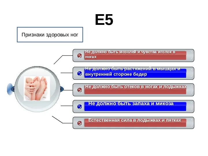 E5 Признаки здоровых ног