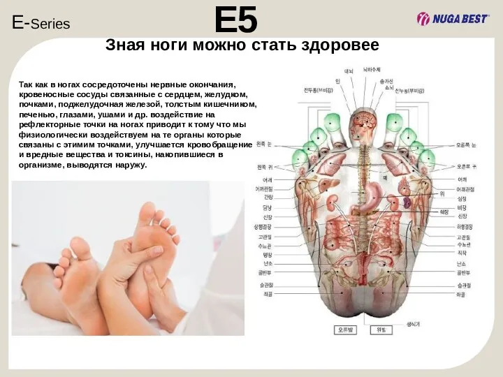 E-Series E5 Зная ноги можно стать здоровее Так как в