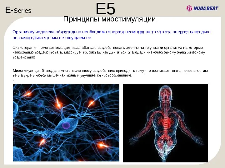 Принципы миостимуляции Организму человека обязятельно необходима энергия несмотря на то