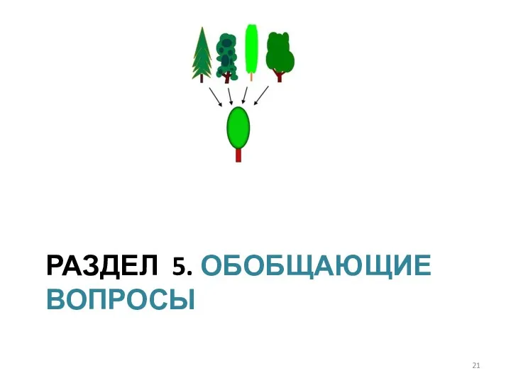 РАЗДЕЛ 5. ОБОБЩАЮЩИЕ ВОПРОСЫ