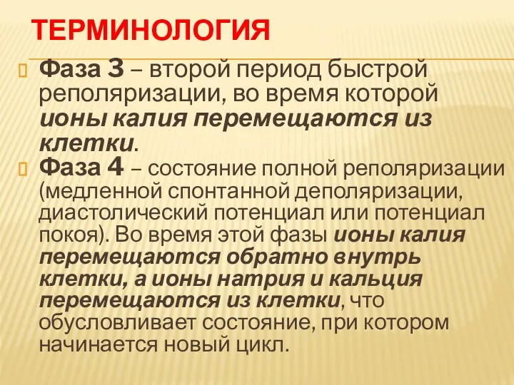 ТЕРМИНОЛОГИЯ Фаза 3 – второй период быстрой реполяризации, во время