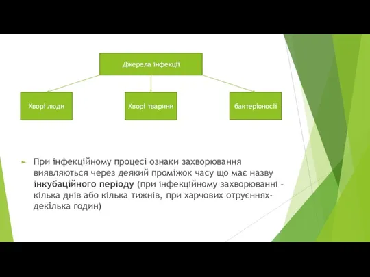 При інфекційному процесі ознаки захворювання виявляються через деякий проміжок часу