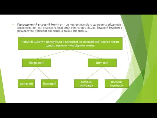 Природжений видовий імунітет – це несприятливість до певних збудників захворювання,