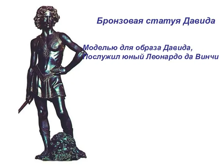 Бронзовая статуя Давида Моделью для образа Давида, Послужил юный Леонардо да Винчи