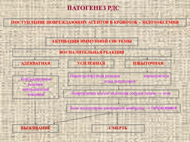 ПАТОГЕНЕЗ РДС ПОСТУПЛЕНИЕ ПОВРЕЖДАЮЩИХ АГЕНТОВ В КРОВОТОК - ЭНДОТОКСЕМИЯ АКТИВАЦИЯ