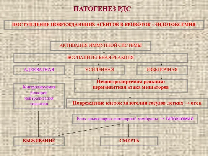 ПАТОГЕНЕЗ РДС ПОСТУПЛЕНИЕ ПОВРЕЖДАЮЩИХ АГЕНТОВ В КРОВОТОК - ЭНДОТОКСЕМИЯ АКТИВАЦИЯ