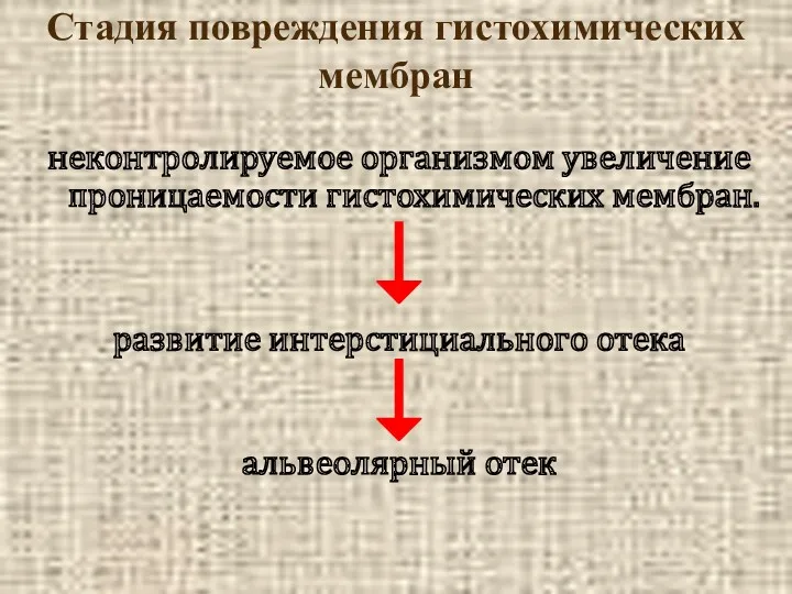 Стадия повреждения гистохимических мембран неконтролируемое организмом увеличение проницаемости гистохимических мембран. развитие интерстициального отека альвеолярный отек