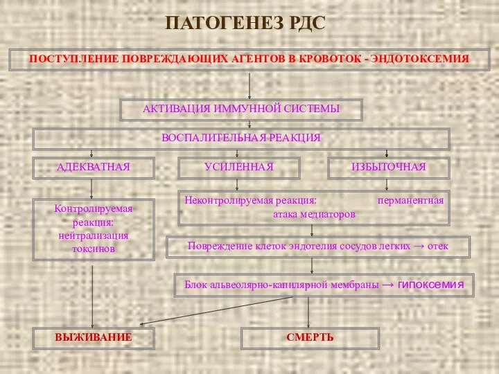 ПАТОГЕНЕЗ РДС ПОСТУПЛЕНИЕ ПОВРЕЖДАЮЩИХ АГЕНТОВ В КРОВОТОК - ЭНДОТОКСЕМИЯ АКТИВАЦИЯ