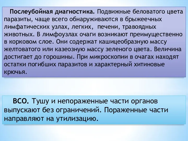 Послеубойная диагностика. Подвижные беловатого цвета паразиты, чаще всего обнаруживаются в