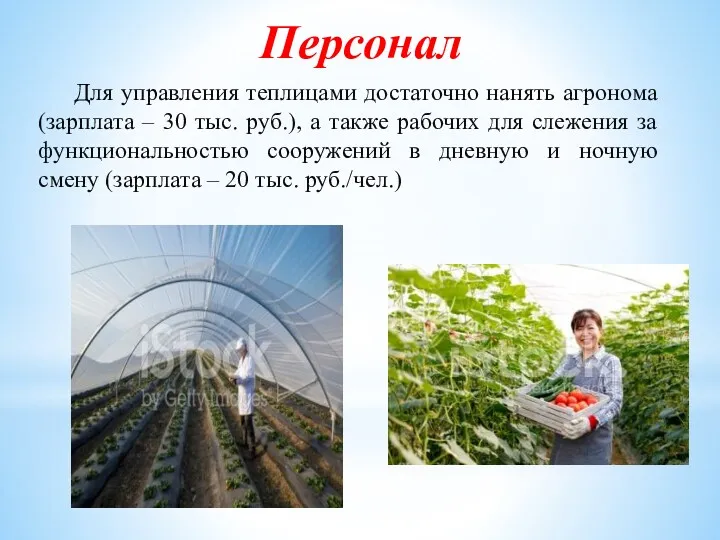 Для управления теплицами достаточно нанять агронома (зарплата – 30 тыс. руб.), а также