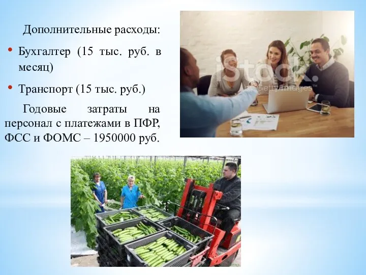 Дополнительные расходы: Бухгалтер (15 тыс. руб. в месяц) Транспорт (15