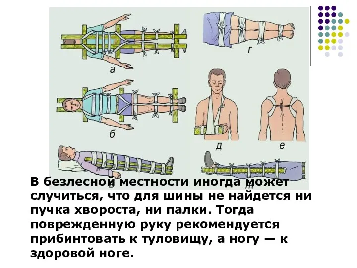 В безлесной местности иногда может случиться, что для шины не