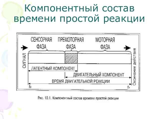 Компонентный состав времени простой реакции