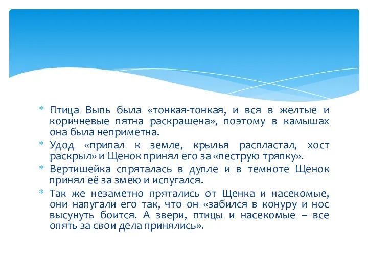 Птица Выпь была «тонкая-тонкая, и вся в желтые и коричневые пятна раскрашена», поэтому