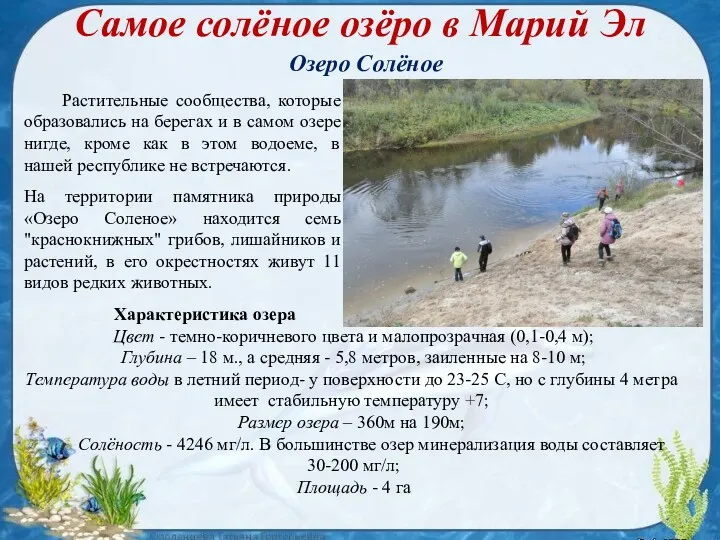 На территории памятника природы «Озеро Соленое» находится семь "краснокнижных" грибов, лишайников и растений,