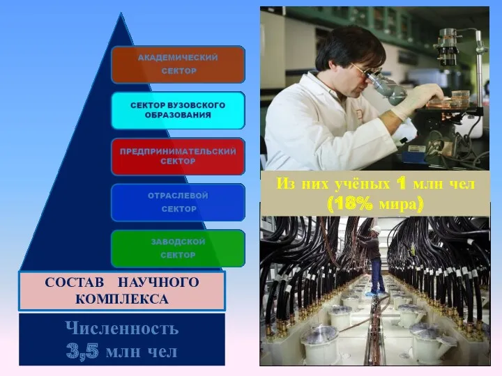 Численность 3,5 млн чел СОСТАВ НАУЧНОГО КОМПЛЕКСА Из них учёных 1 млн чел (18% мира)