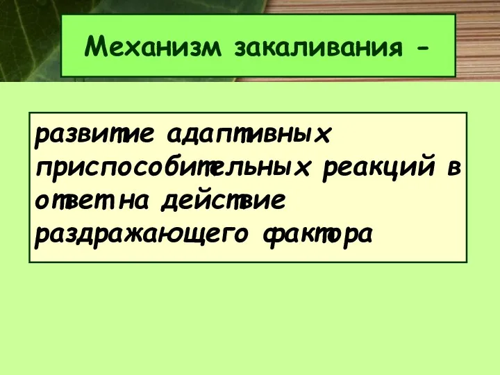 Механизм закаливания - развитие адаптивных приспособительных реакций в ответ на действие раздражающего фактора