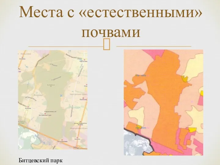 Места с «естественными» почвами Битцевский парк