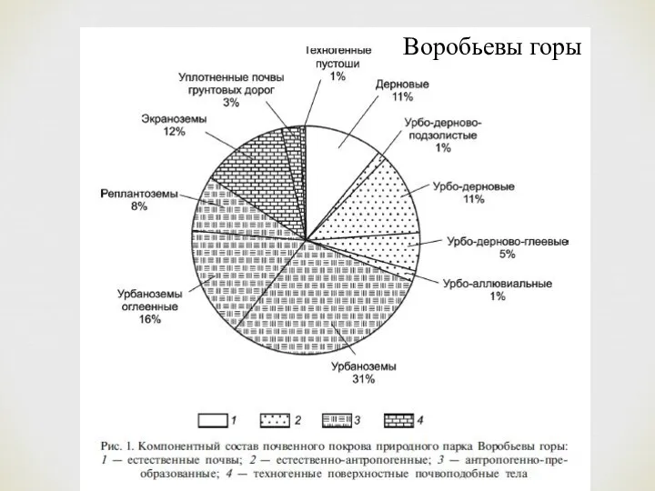 Воробьевы горы Воробьевы горы