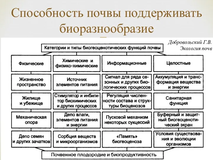 Способность почвы поддерживать биоразнообразие Добровольский Г.В. Экология почв