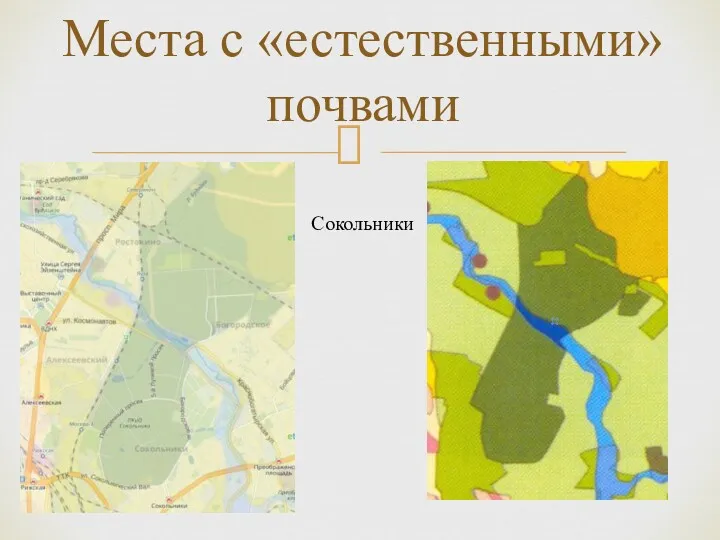 Места с «естественными» почвами Сокольники