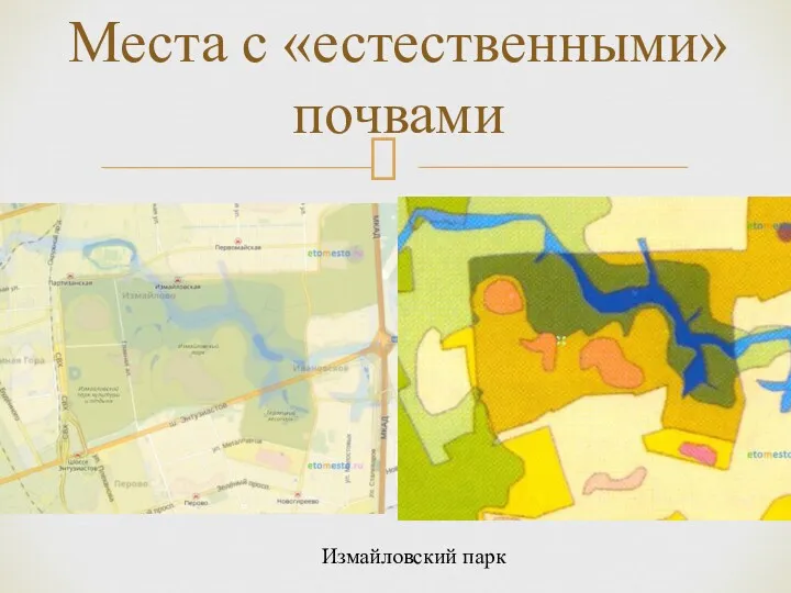 Места с «естественными» почвами Измайловский парк